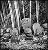 Бамбук и камни - городской пейзаж